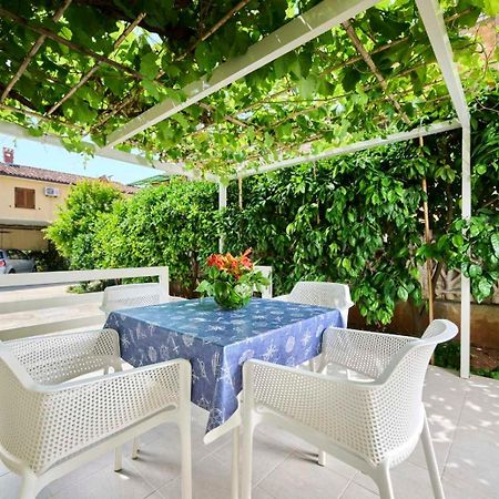 Apartman Ema Novigrad Istria Exterior foto